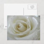 Blumenschimmer Postkarte (Vorne/Hinten)