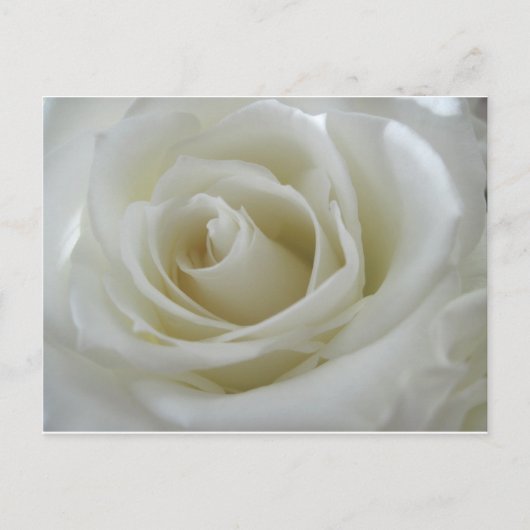 Blumenschimmer Postkarte (Vorderseite)