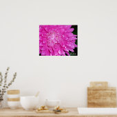 Blumenserie: Asteraceae Poster (Küche)