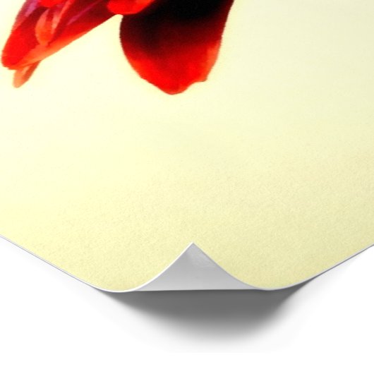 BLUMENSERIEN-007 POSTER (Ecke)