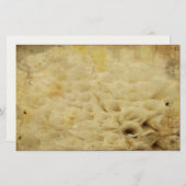 Blumenstationäre Briefpapier (Vorne/Hinten)