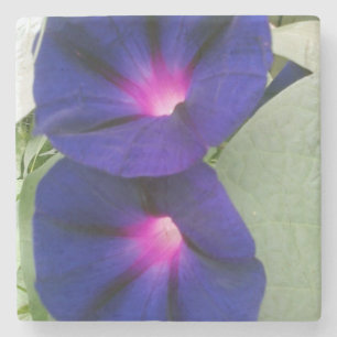 BlumensteinUntersetzer Steinuntersetzer