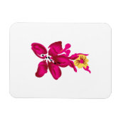 Blumenstil, ArtyClick Crimson, Light Gold Magnet (Horizontal)