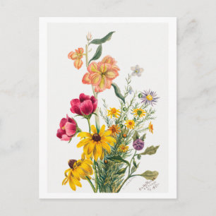 Blumenstrauß Botanische Illustration Postkarte
