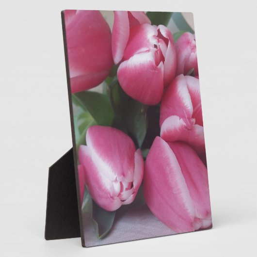 Blumenstrauß, Pink Tulips, Blume Fotoplatte (Seite)