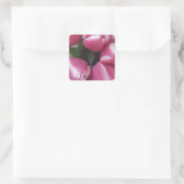 Blumenstrauß, Pink Tulips, Blume Quadratischer Aufkleber (Tasche)