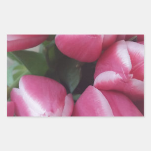Blumenstrauß, Pink Tulips, Blume Rechteckiger Aufkleber
