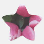 Blumenstrauß, Pink Tulips, Blume Stern-Aufkleber (Vorderseite)