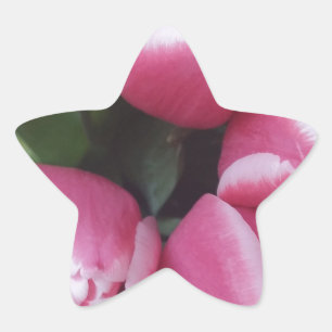 Blumenstrauß, Pink Tulips, Blume Stern-Aufkleber