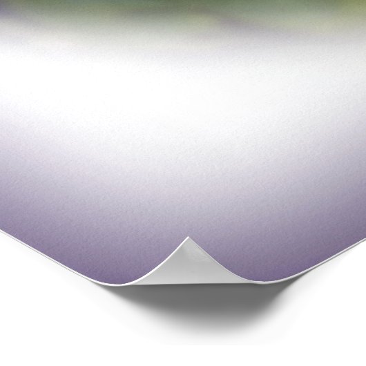 Blumenstrauß Poster (Ecke)