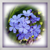 Blumenstrauß Poster (Vorne)