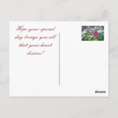 Blumenstrauß: rosa und gelbe Nelken Postkarte (Rückseite)