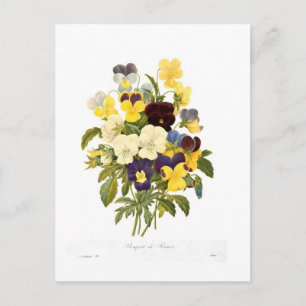 Blumenstrauß Stiefmütterchen von Pierre-Joseph Red Postkarte