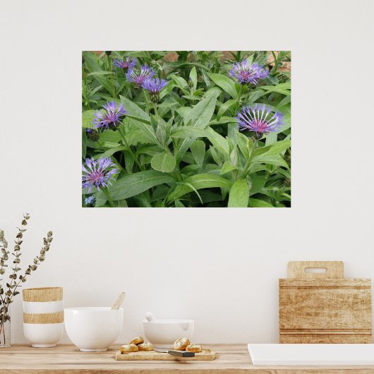 Blumensträuße Print Poster (Küche)