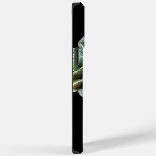 Blumensukkulent auf schwarz Case-Mate iPhone hülle (Rückseite / Rechts)