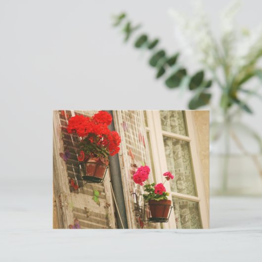 Blumentöpfe Postkarte (Stehend Vorderseite)