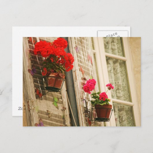 Blumentöpfe Postkarte (Vorne/Hinten)