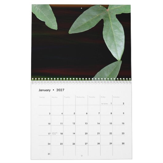 Blumenträume 2009 kalender (Jan 2027)