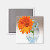 Blumenübersicht Magnet (Vorderseite/Rückseite)