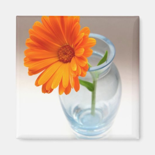 Blumenübersicht Magnet (Vorne)