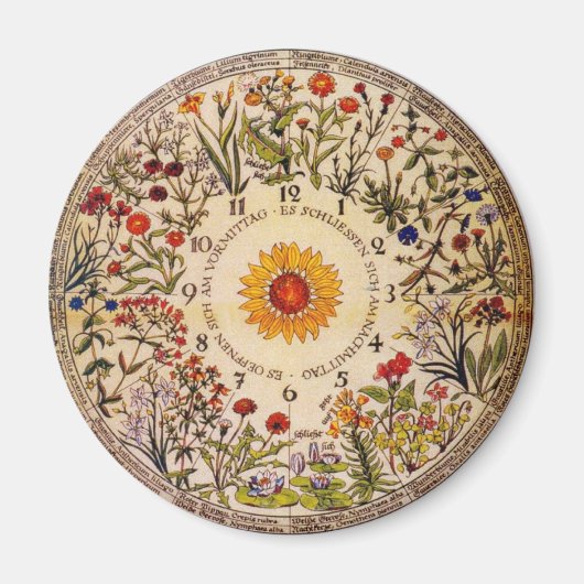 Blumenuhr Blume Clock Magnet (Vorne)