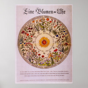 Blumenuhr-Blume-Uhr-Poster2 Poster