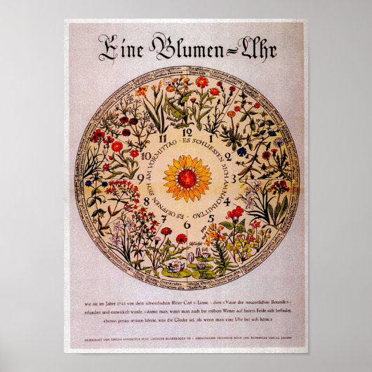 Blumenuhr-Blume Uhr Vintage Kunst Poster (Vorne)