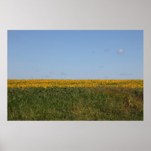 Blumenunschärfe Poster