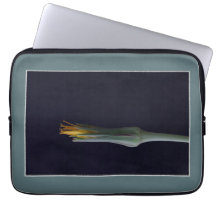 Blumenverborgene Schönheit Klassische Blume Portra