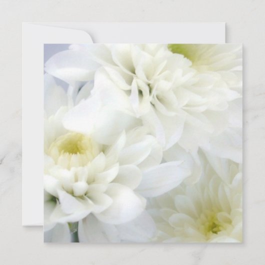 Blumenweiß-Brautdusche Einladung (Rückseite)