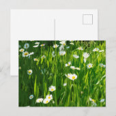 Blumenwiese Einladungspostkarte (Vorne/Hinten)