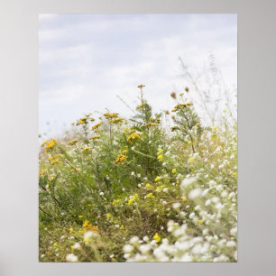 Blumenwiese, Mecklenburg-Vorpommern, Deutschland Poster