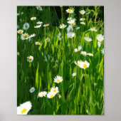 Blumenwiese Poster (Vorne)