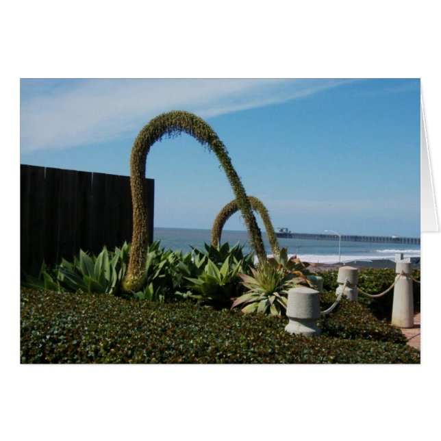 Blumenwunder (Vorderseite (Horizontal))