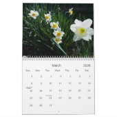 Blumenwunder, Kalender 2008 (Mär 2026)