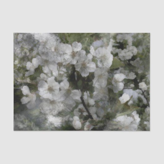 Blumenzellenpapier Seidenpapier (Vorderseite)