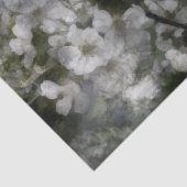 Blumenzellenpapier Seidenpapier (Ausschnitt)