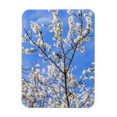 Blumenzweig Magnet (Vertikal)