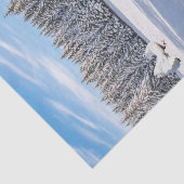 Blumenzwiebelpapier Seidenpapier (Ausschnitt)