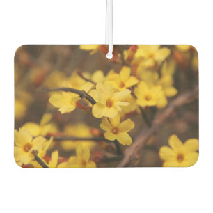 blumige Blüten Blütenranken Blütenblätter Pflanze  Autolufterfrischer
