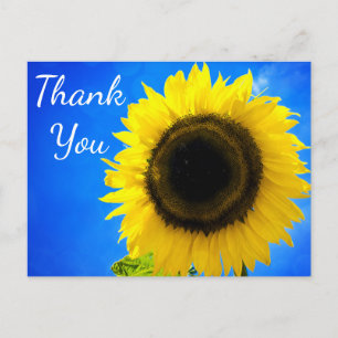 Blumige Dankeschön-Gelbe Blume - Sonnenblume Postkarte