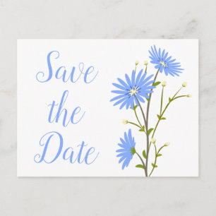 Blumige Hochzeitseinladung Blaue Gänseblümchen Ver Postkarte