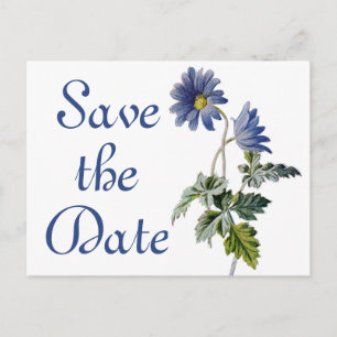 Blumige Save The Date Blaue Gänseblümchen-Blumen H Postkarte