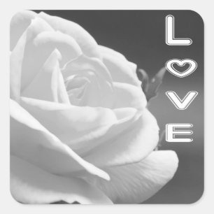 Blumige schwarze und weiße Rosenblume Liebe Quadratischer Aufkleber
