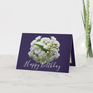 Blumiges Chic Bouquet Weiße Spirea Blumen Geburtst Karte