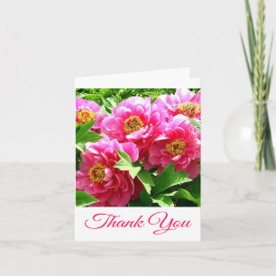 Blumiges Dankeschön Rosa Pfingstrosen-Blume Dankeskarte