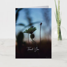 Blumiges romantisches Gedicht – Botanische Fantasi