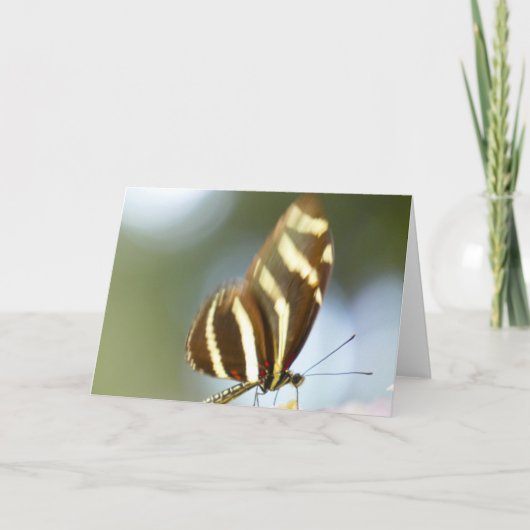"Blurred Butterfly."Grußkarte Karte (Vorderseite)