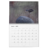 Blurred Watching Calendar Kalender (Mär 2027)