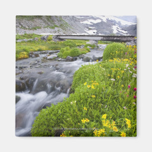 Blurry Fluss mit gelben weißen rosa Wildblumen Magnet